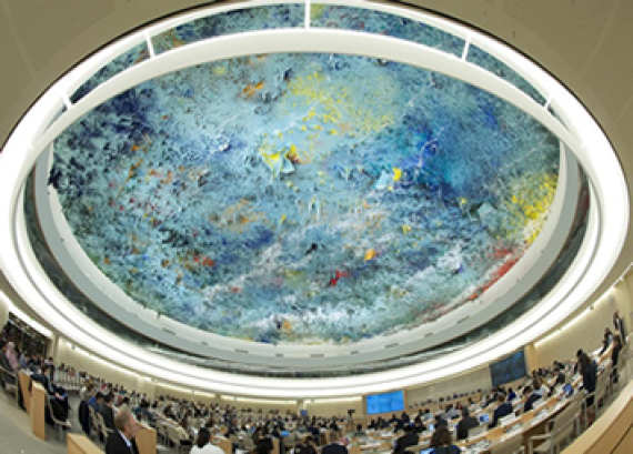 noticias onu